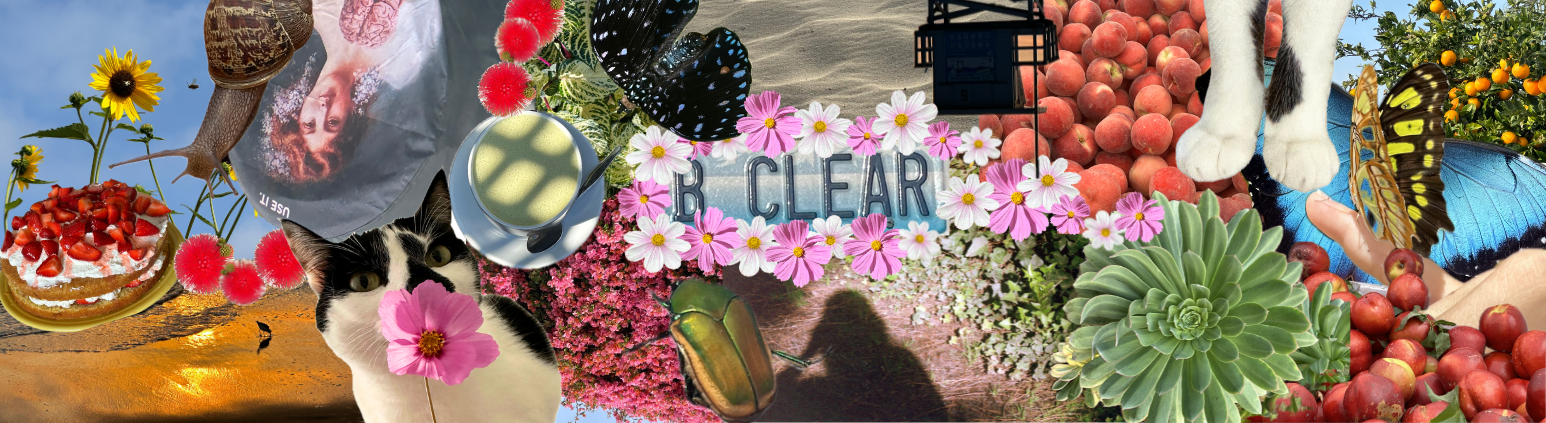 collage of flowers, fruit, cats, butterflies and a 'B CLEAR' sign